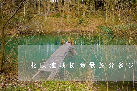 花呗逾期协商最多分多少期 花呗逾期协商最多分多少期