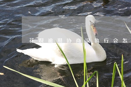 花呗逾期协商没执行会怎样 花呗逾期协商没执行会怎样