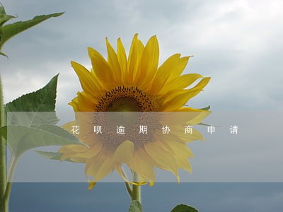 花呗逾期协商申请 花呗逾期协商申请