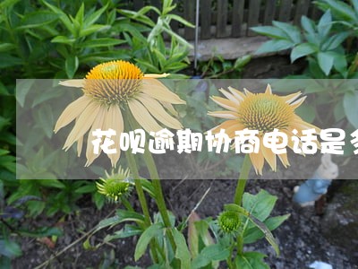 花呗逾期协商电话是多少 花呗逾期协商电话是多少