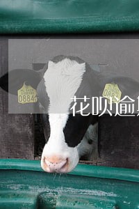 花呗逾期协商百分之十五 花呗逾期协商百分之十五