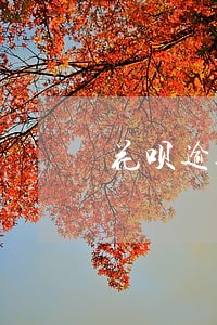 花呗逾期协商难吗 花呗逾期协商难吗