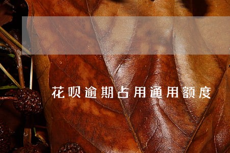 花呗逾期占用通用额度 花呗逾期占用通用额度