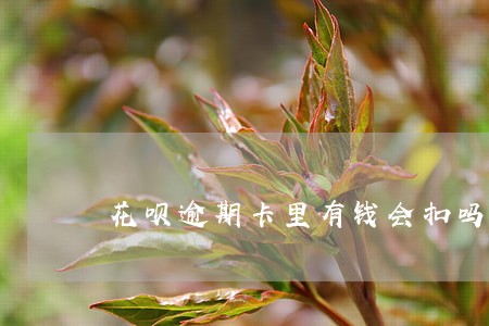 花呗逾期卡里有钱会扣吗 花呗逾期卡里有钱会扣吗