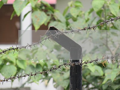 花呗逾期印象办信用卡 花呗逾期印象办信用卡