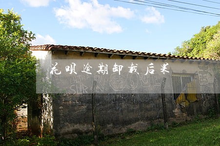 花呗逾期卸载后果 花呗逾期卸载后果