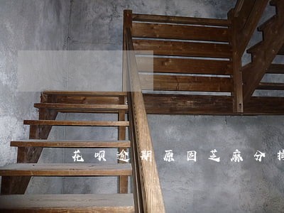 花呗逾期原因芝麻分掉了 花呗逾期原因芝麻分掉了