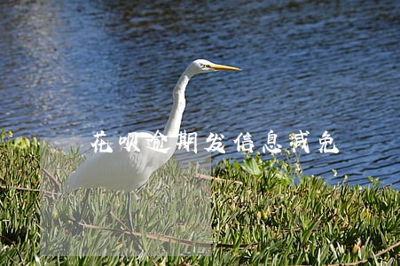 花呗逾期发信息减免 花呗逾期发信息减免