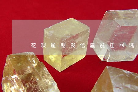 花呗逾期发信息说挂网逃废债 花呗逾期发信息说挂网逃废债