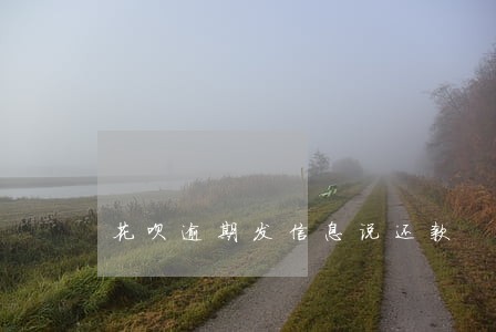 花呗逾期发信息说还款 花呗逾期发信息说还款
