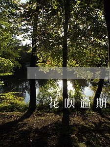 花呗逾期发应诉通告 花呗逾期发应诉通告