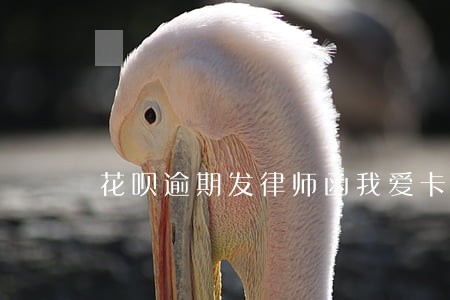 花呗逾期发律师函我爱卡论坛 花呗逾期发律师函我爱卡论坛
