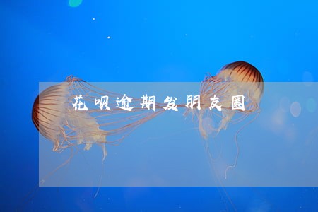 花呗逾期发朋友圈 花呗逾期发朋友圈