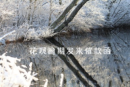 花呗逾期发来催款函 花呗逾期发来催款函