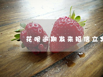 花呗逾期发来短信立案 花呗逾期发来短信立案