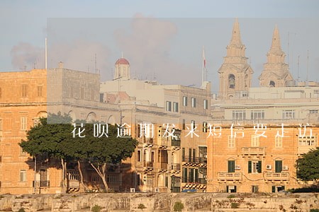 花呗逾期发来短信要走访 花呗逾期发来短信要走访