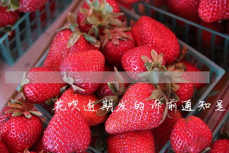 花呗逾期发的诉前通知是真的吗 花呗逾期发的诉前通知是真的吗