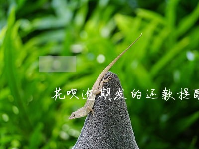 花呗逾期发的还款提醒 花呗逾期发的还款提醒
