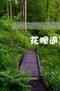 花呗逾期发的通告 花呗逾期发的通告