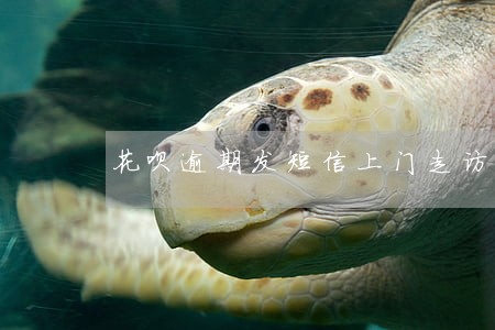 花呗逾期发短信上门走访 花呗逾期发短信上门走访