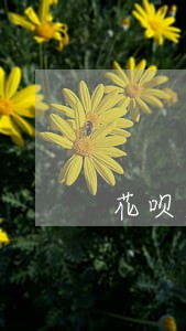 花呗逾期发短信会被判刑吗 花呗逾期发短信会被判刑吗