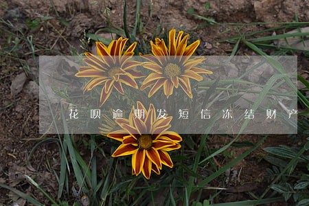 花呗逾期发短信冻结财产 花呗逾期发短信冻结财产
