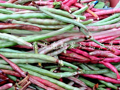 花呗逾期发短信后果是什么 花呗逾期发短信后果是什么