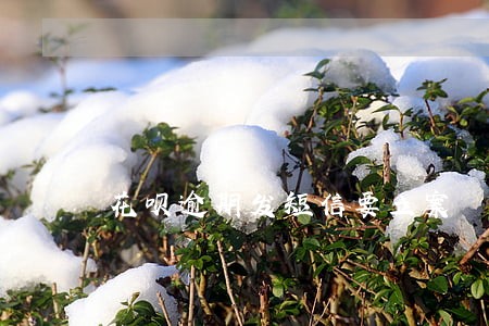 花呗逾期发短信要立案 花呗逾期发短信要立案
