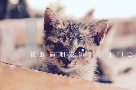 花呗逾期发短信说上门会来吗