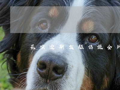 花呗逾期发短信说全网公示 花呗逾期发短信说全网公示