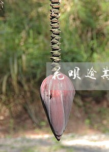 花呗逾期发短信说明 花呗逾期发短信说明