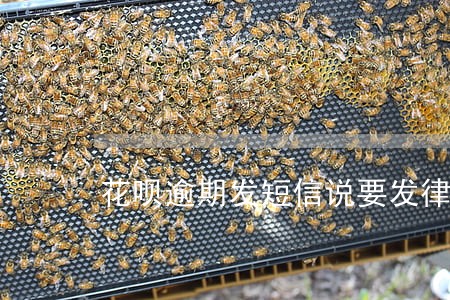 花呗逾期发短信说要发律师函真假