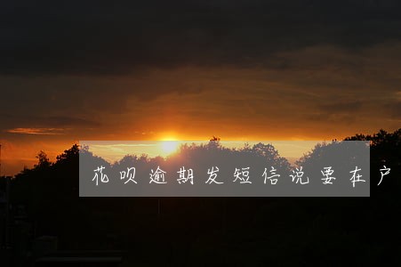 花呗逾期发短信说要在户籍地开庭 花呗逾期发短信说要在户籍地开庭