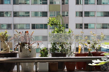 花呗逾期发短信说走访 花呗逾期发短信说走访