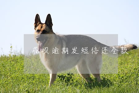 花呗逾期发短信还全款 花呗逾期发短信还全款
