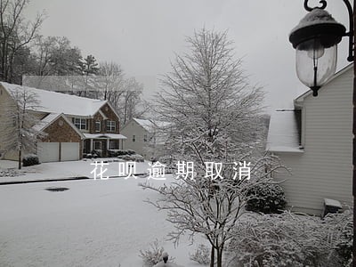 花呗逾期取消 花呗逾期取消