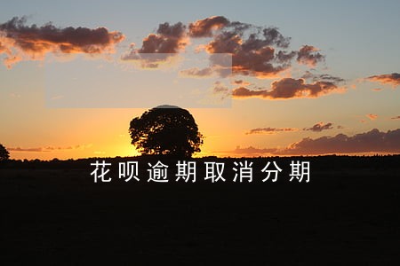 花呗逾期取消分期 花呗逾期取消分期