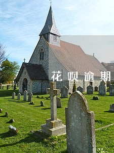 花呗逾期取消分期还全款 花呗逾期取消分期还全款
