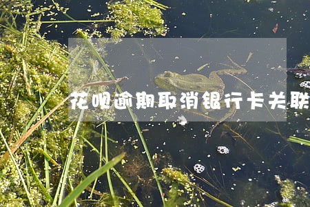 花呗逾期取消银行卡关联 花呗逾期取消银行卡关联