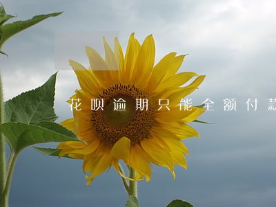 花呗逾期只能全额付款吗 花呗逾期只能全额付款吗