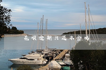 花呗逾期只还本金吗 花呗逾期只还本金吗