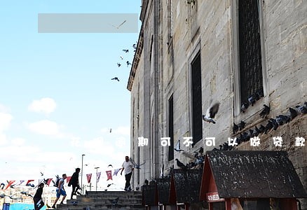 花呗逾期可不可以做贷款 花呗逾期可不可以做贷款