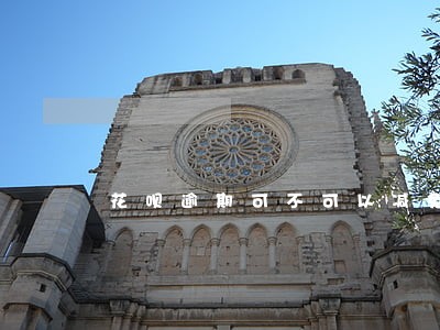 花呗逾期可不可以减免 花呗逾期可不可以减免
