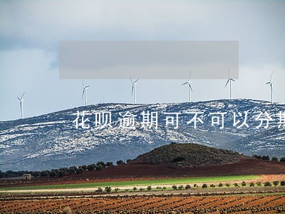 花呗逾期可不可以分期付款 花呗逾期可不可以分期付款