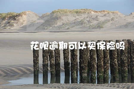 花呗逾期可以买保险吗 花呗逾期可以买保险吗