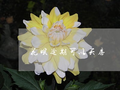 花呗逾期可以买房 花呗逾期可以买房