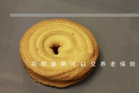 花呗逾期可以交养老保险吗 花呗逾期可以交养老保险吗