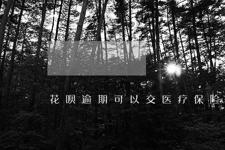 花呗逾期可以交医疗保险吗 花呗逾期可以交医疗保险吗