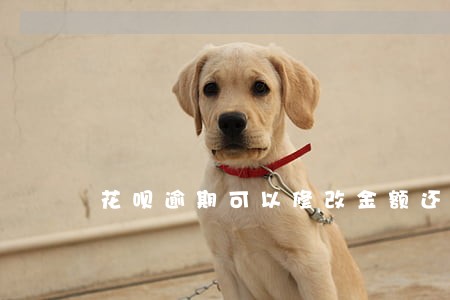 花呗逾期可以修改金额还吗 花呗逾期可以修改金额还吗