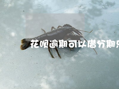 花呗逾期可以借分期乐吗 花呗逾期可以借分期乐吗